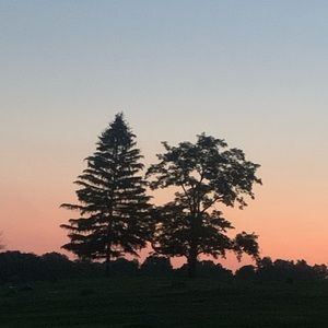 Meet your Posher, Ayawnah